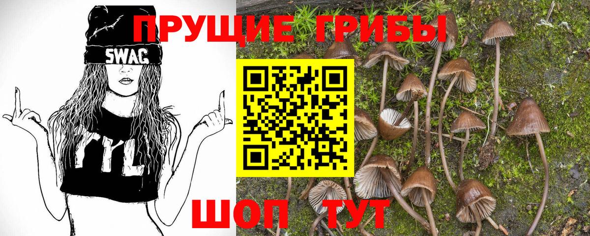 Галлюциногенные грибы GOLDEN TEACHER  Галлюциногенные грибы GOLDEN TEACHER  Реутов  Вход с VPN 